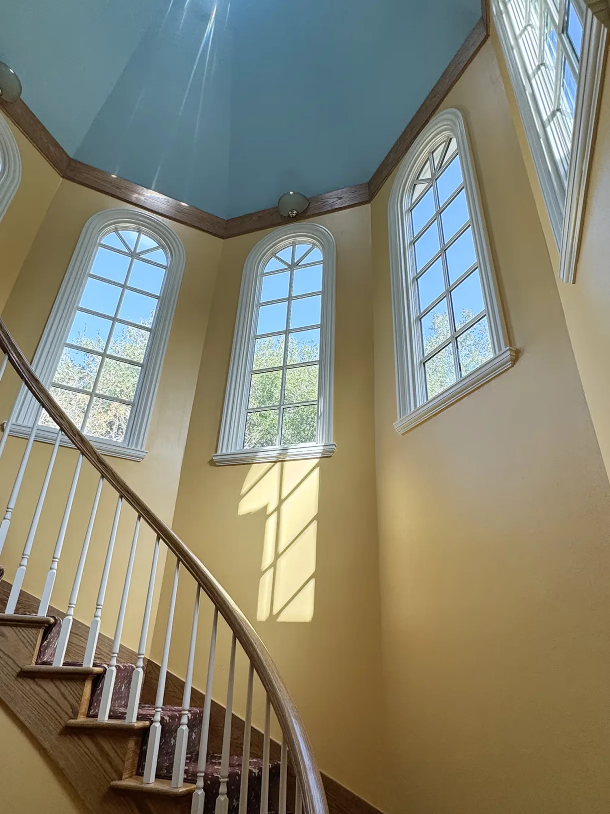 Wood Clad Windows